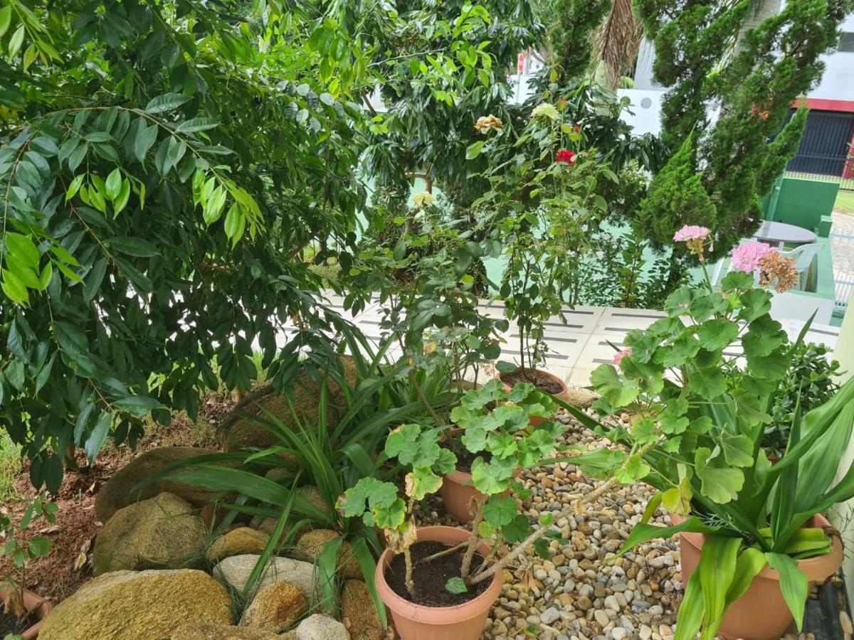 Praia De 4 Ilhas Apartamento De 1 Quarto A 60M Praia Com Vista Бомбиньяс Экстерьер фото